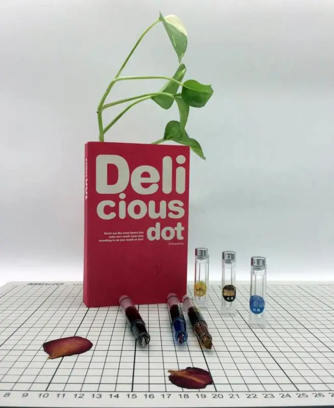 
Hot Selling Transparent Fountain Pen with Piston 