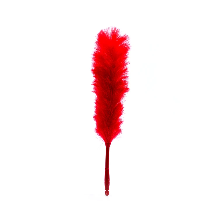 
Fashion kitchen car feather pp duster 