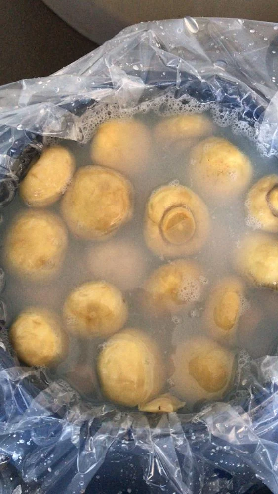 
Wholesale brined mushrooms in drums 