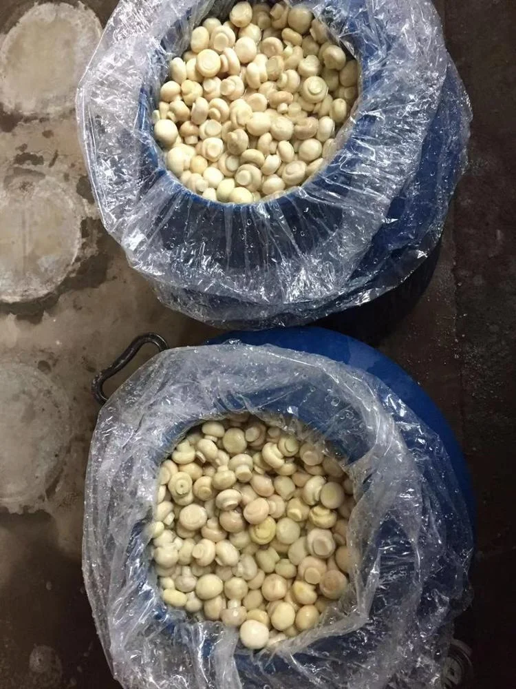 
Italy 2-2.5 cm whole champignon mushroom in vinegar in drums 