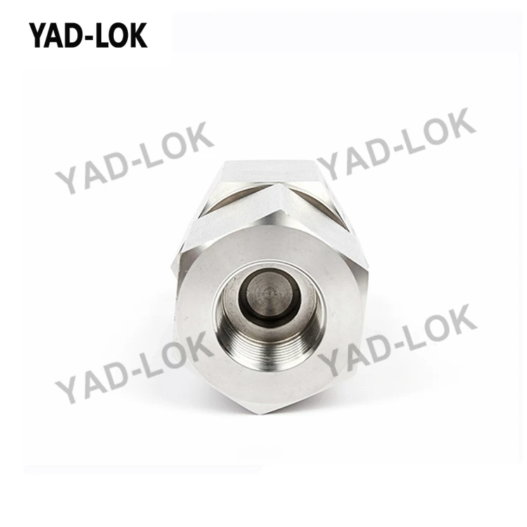 pneumatic check valve