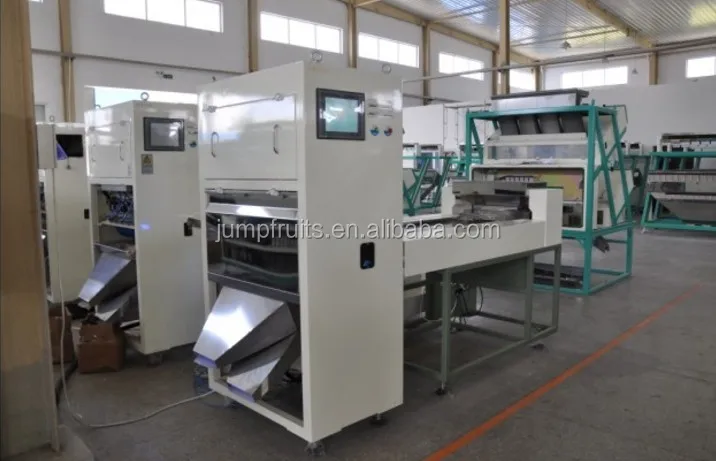 Автоматическое авокадо/apple/груша/абрикос обработки классификации/сортируя