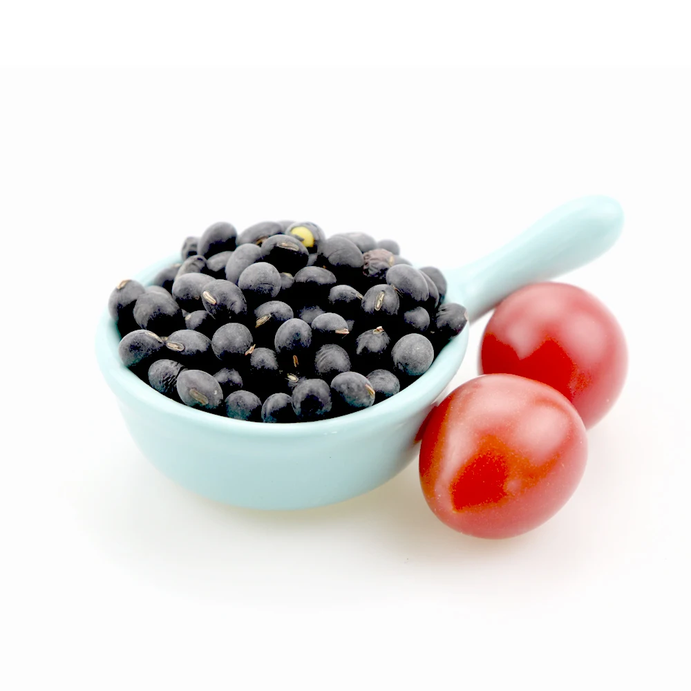 types of big black beans for sale ,6.5mm, black turtkle bean