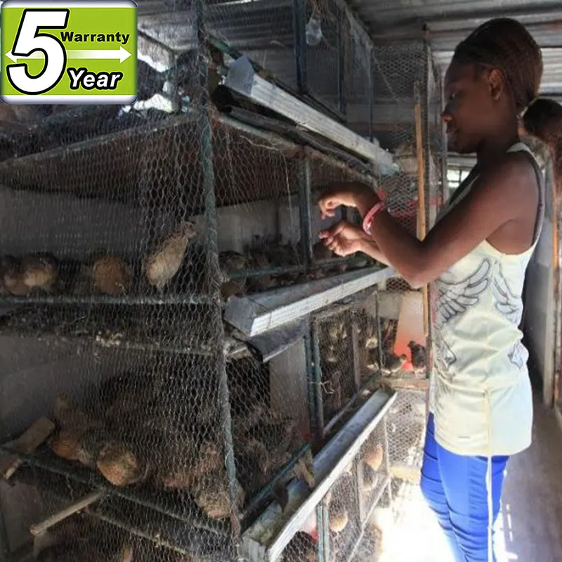 Использованные клетки для перепелов для кур