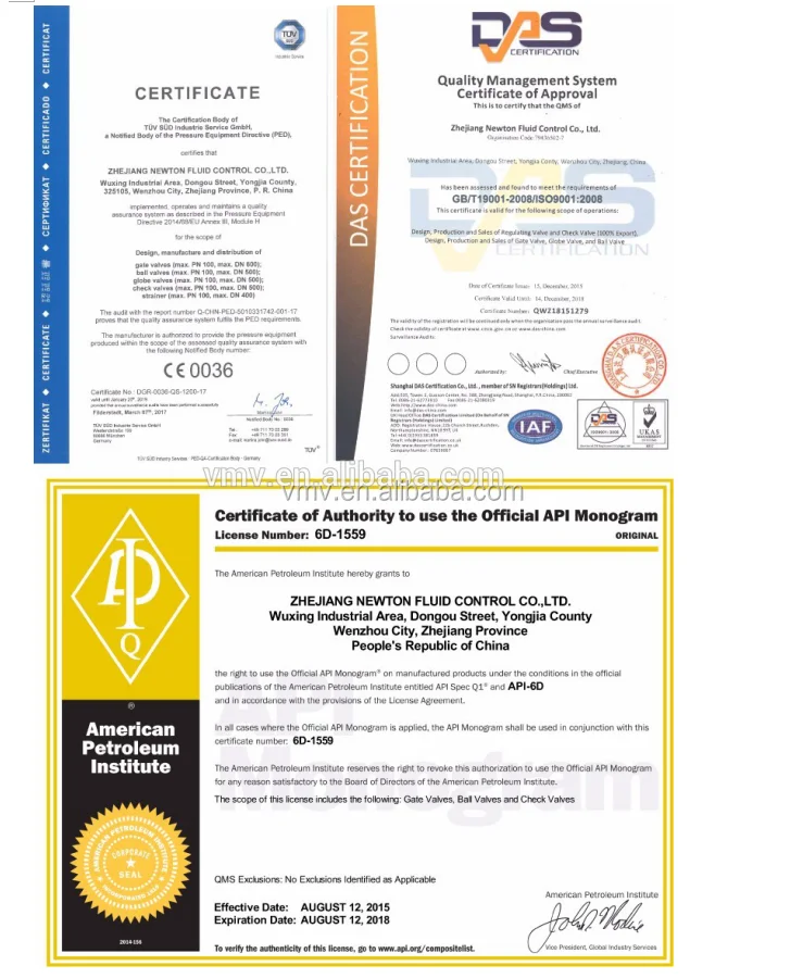 
DN65 FLANGE WCB BODY MATERIAL DIN STANDARD Lift Check Valve 