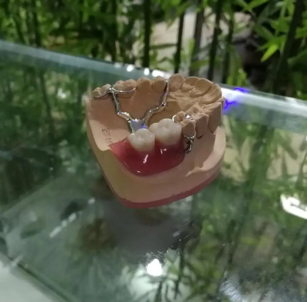 
3d printer dental lab flexible denture 