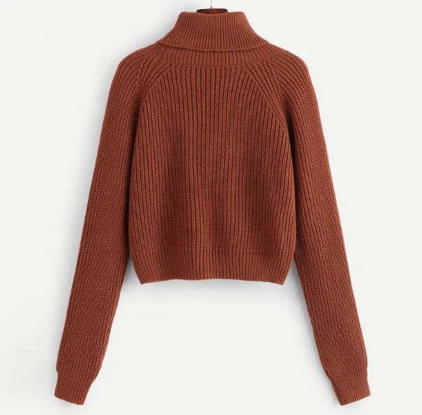 
Turtleneck Raglan Sleeve Jumper Fall Winter Tops For Womens Knitted Sweater 