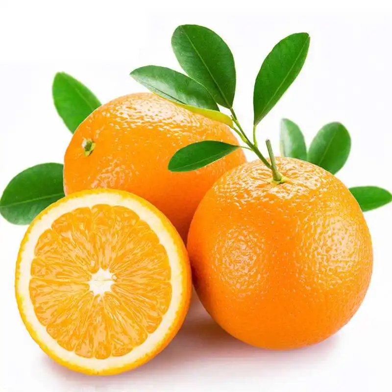 Саженцы цитрусsinensisosbeck