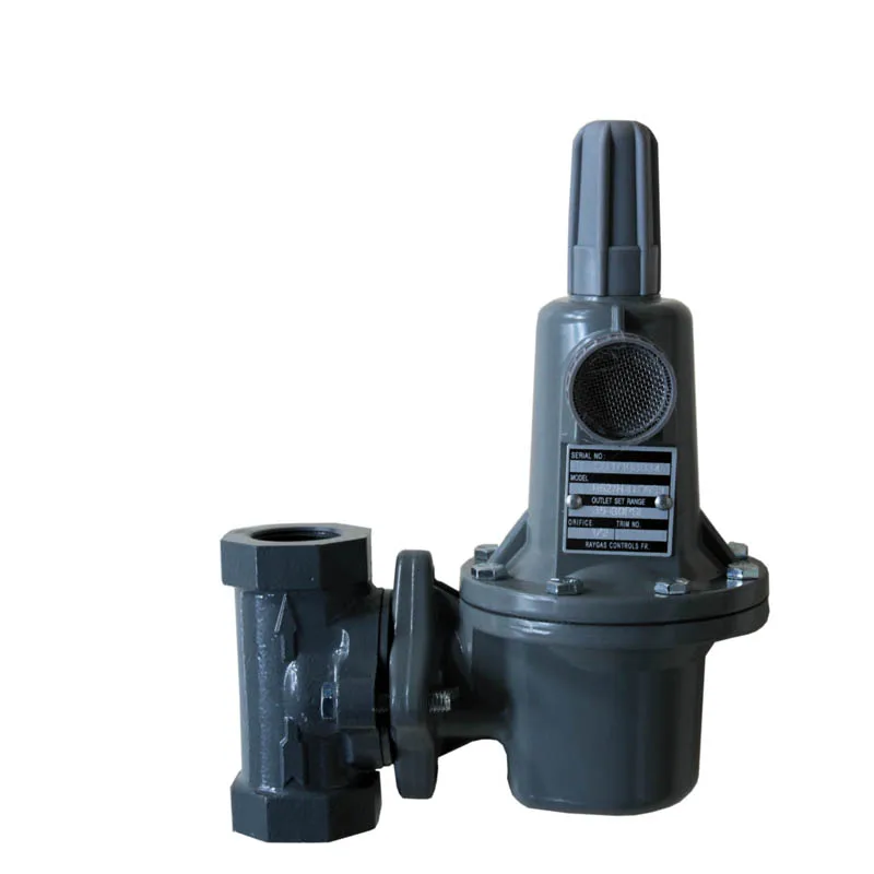 French design  China Made Raygas TYPE R627 LPG NG Ammonia like  Regulator 627-577 natural gas pressure regulator