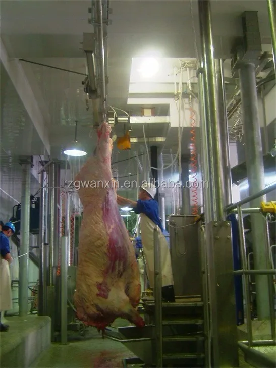 Halal оборудование для забоя крупного рогатого скота/коров