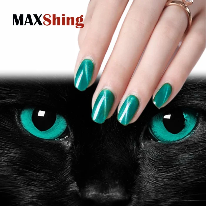 Nail polish pigment powder 3d cat eye magnet nail powder pigment