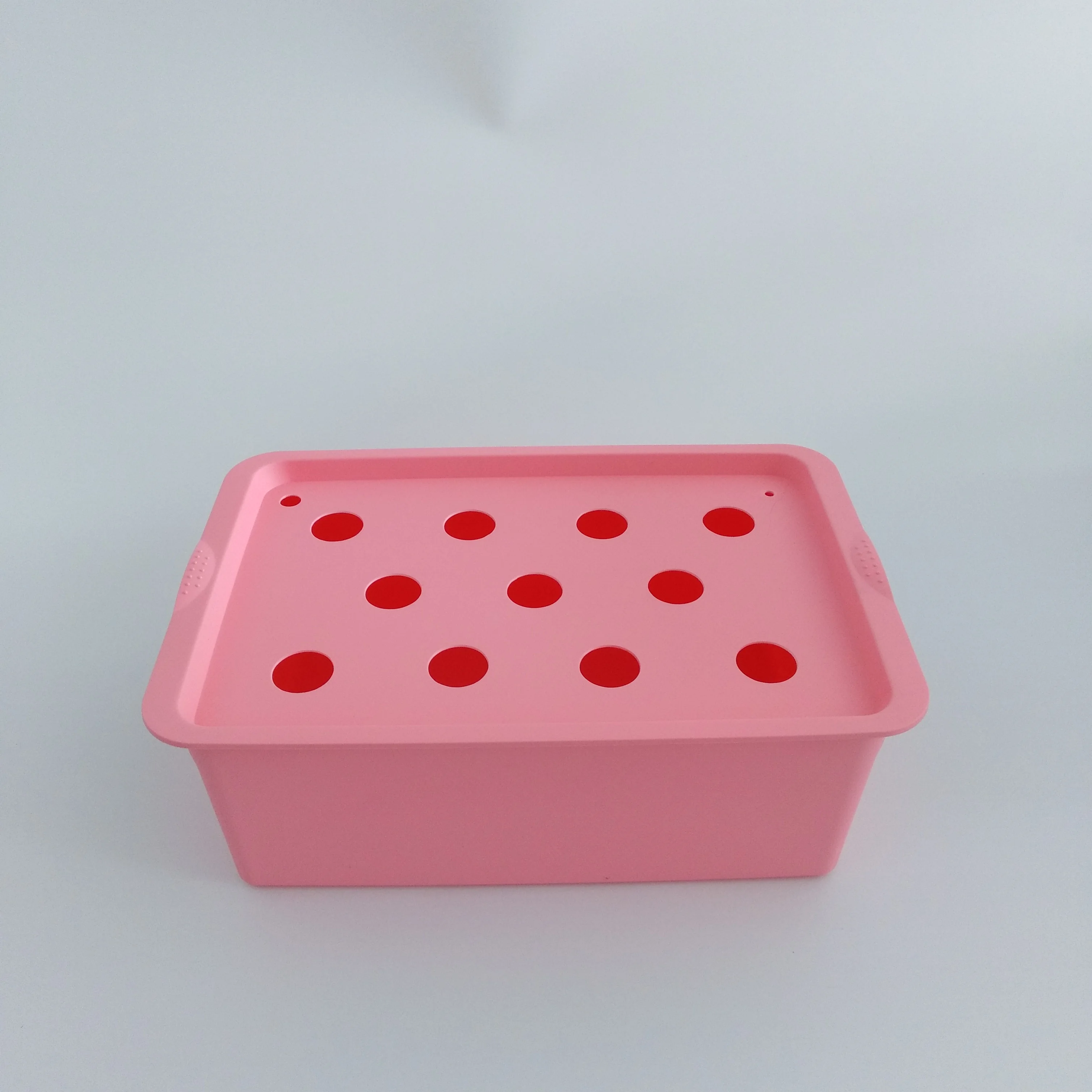 11 holes Hot sales Hydroponic Plastic Planting box for vegetables