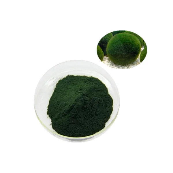 Factory Supply  chlorella powder in bulk organic chlorella powder spirulina and chlorella powder