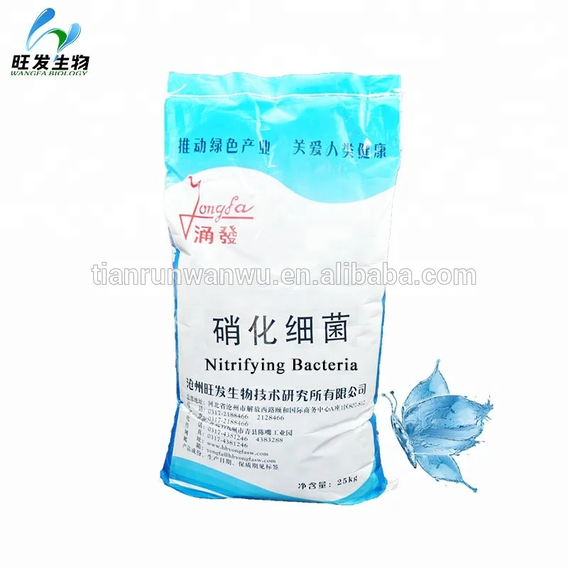 
Nitrifying bacteria for aquatic 