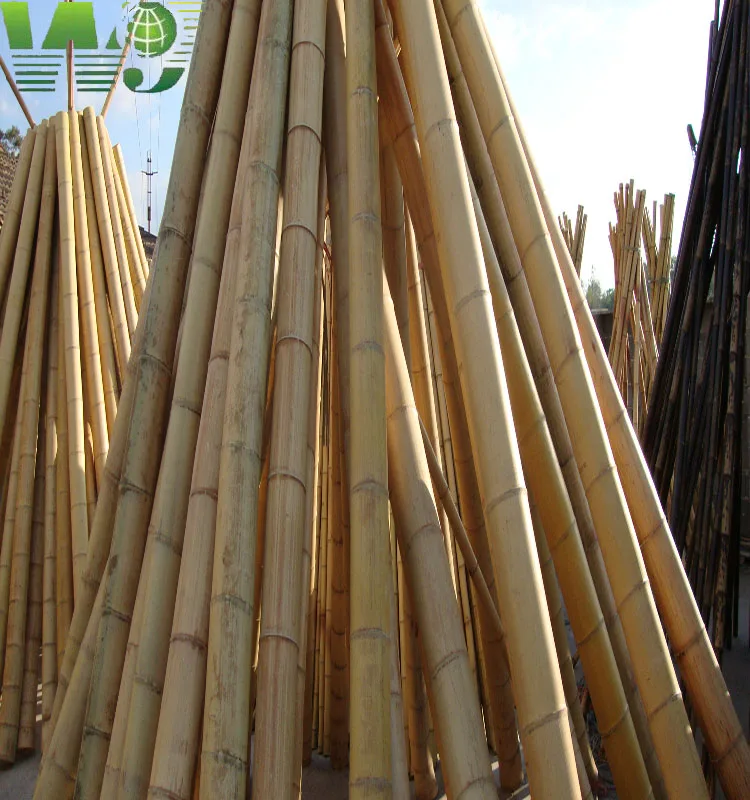 WY T-001 Natural Tonkin bamboo cane
