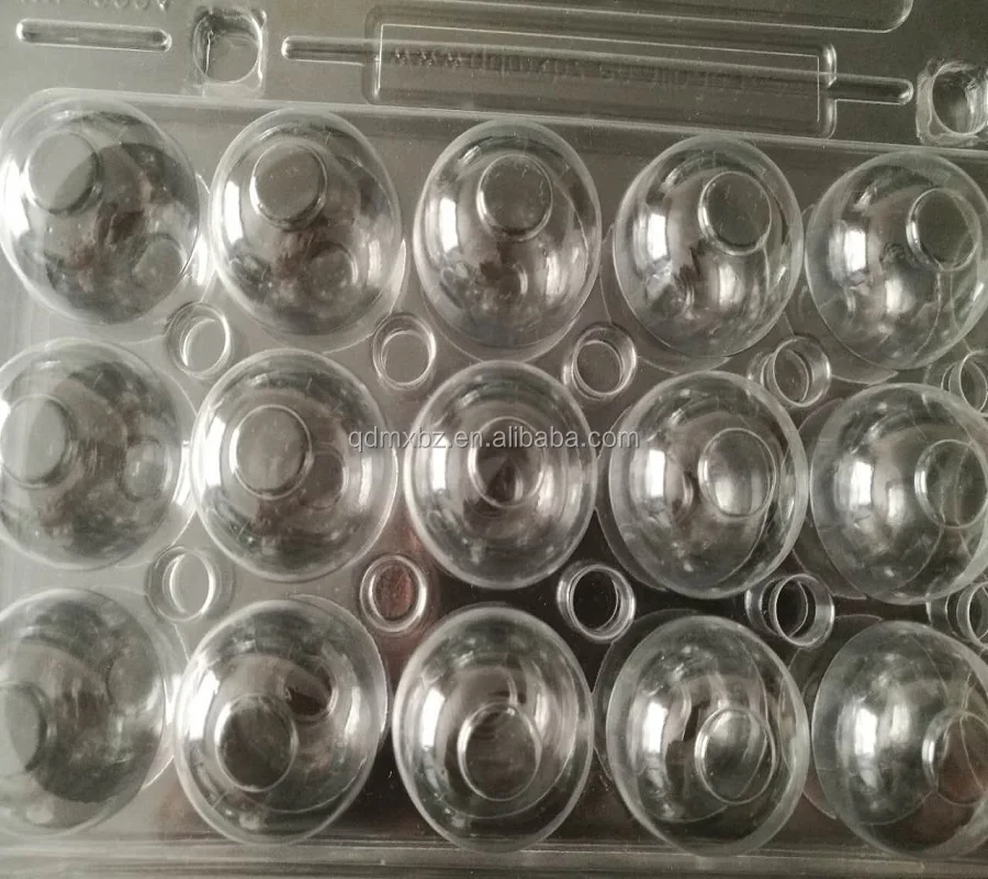 plastic quail egg tray,quail egg cartons for sale,quail egg packaging