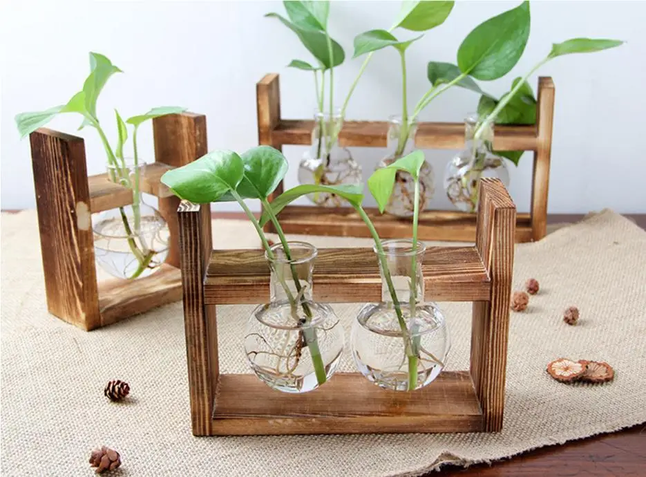 Creative Wooden Hydroponic Container Transparent Glass Vase for Green Plant Desktop Decoration for Home Use on the Floor