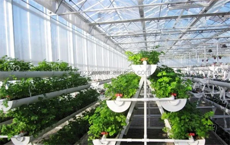 hydroponic container intelligent Hydroponic Growing Systems Greenhouse vertical hydroponic system on hot sale