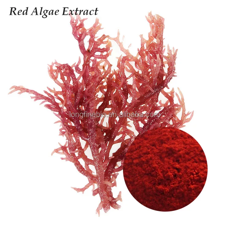 
Hot sale best quality pure Red algae extract | Algae extract with best price 