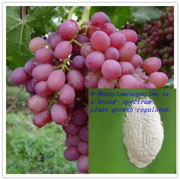 
cytokinin 6BA Benzylaminopurine (6-BAP) 98%tc 1214-39-7 