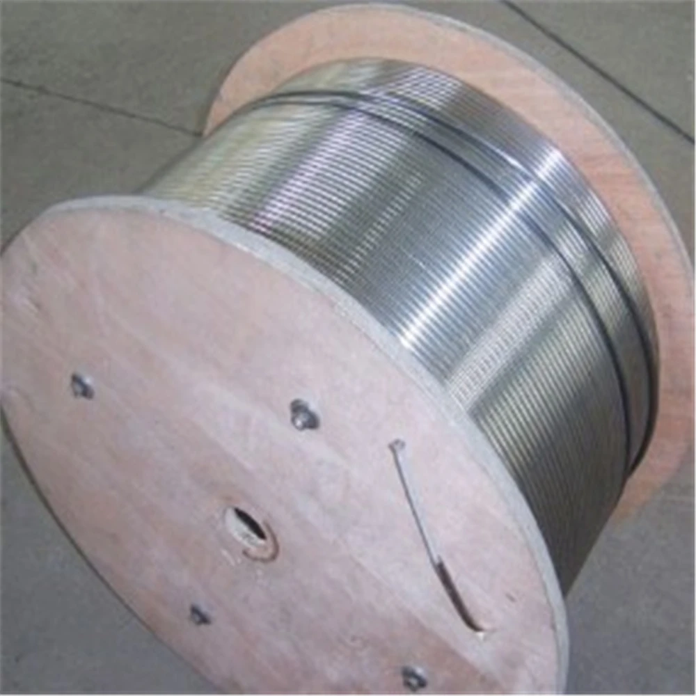 ASTM 316/Rods 10b21/JIS SUS316 Stainless Steel Wire Rod