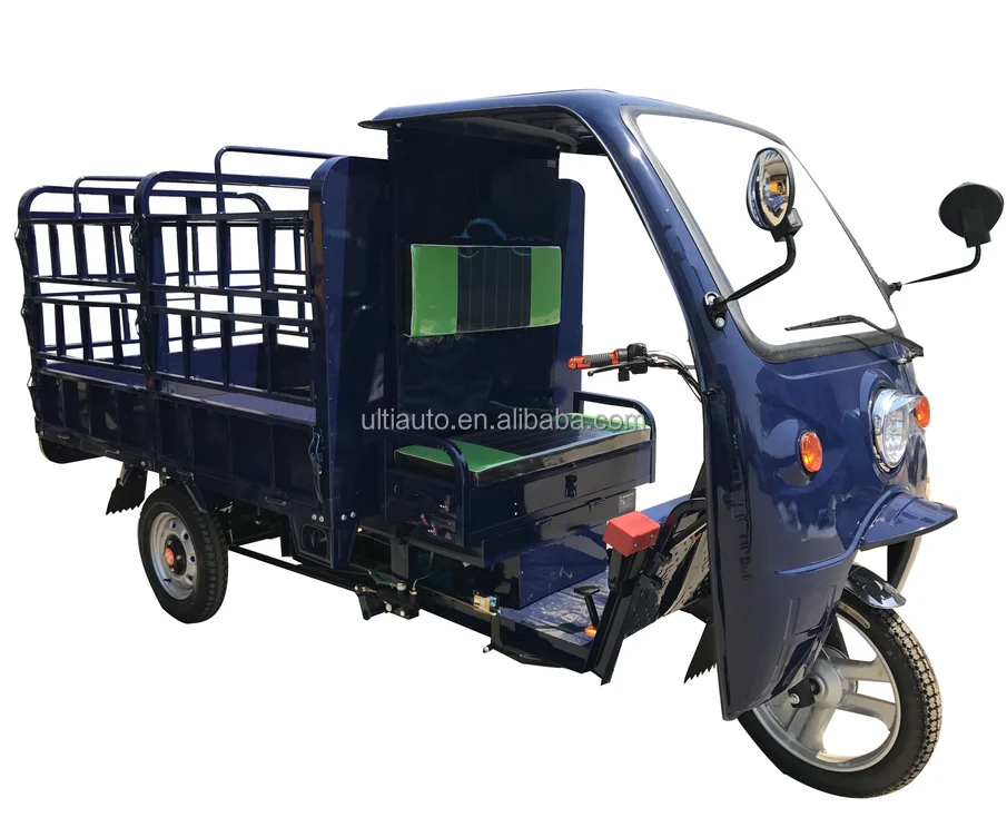 Electric tricycle for cargo transport
