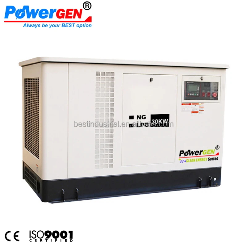 Бесшумный жидкостный охлаждаемый домашний резервный генератор POWERGEN LPG/NG