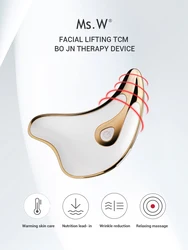 Ms.W Brand Original Factory OEM Wholesale EMS RF Facial Massager Usa Eu Most Popular Beauty Device Daily Face Skin Care tool