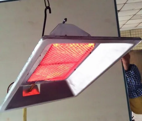 2024 Good-quality Natural Gas and LPG Infrared Brooder Lamp THD2606 for Chicken,safe gas working