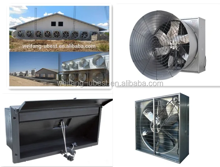 Design Modern High Quality Chicken Feeding Equipment/poultry Hopper Feeder/poultry Farm for Sale in Ghana