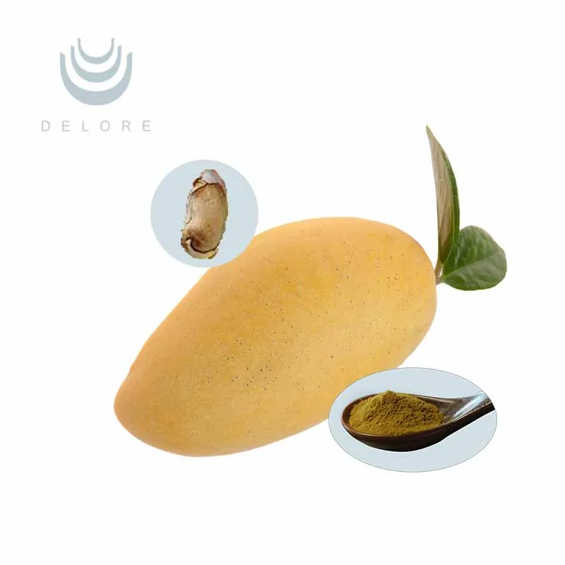 Slimming Ingredients Irvingia Gabonensis African Mango Seed Extract