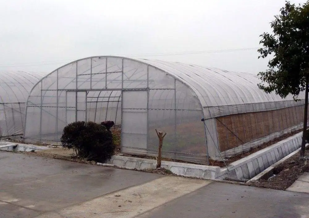 
low cost tomato growing tunnel hitech polyhouse greenhouse 