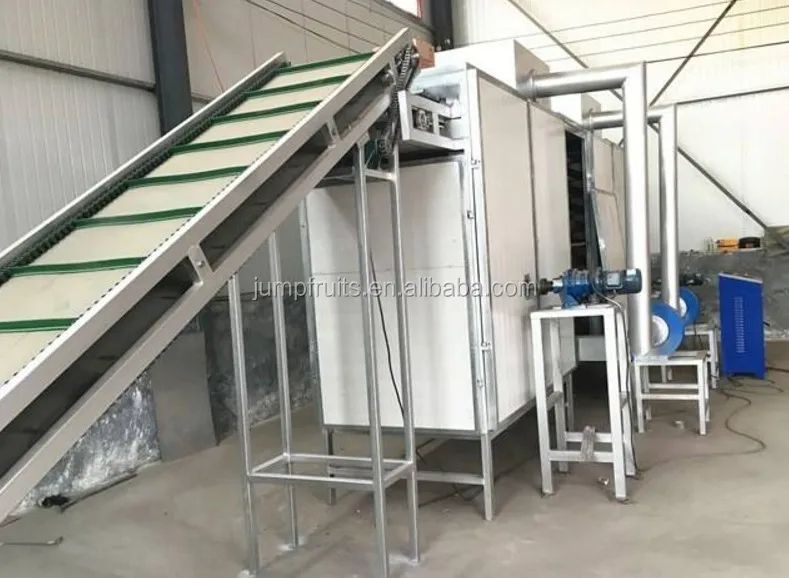 Automatic cherry tomato drying equipment