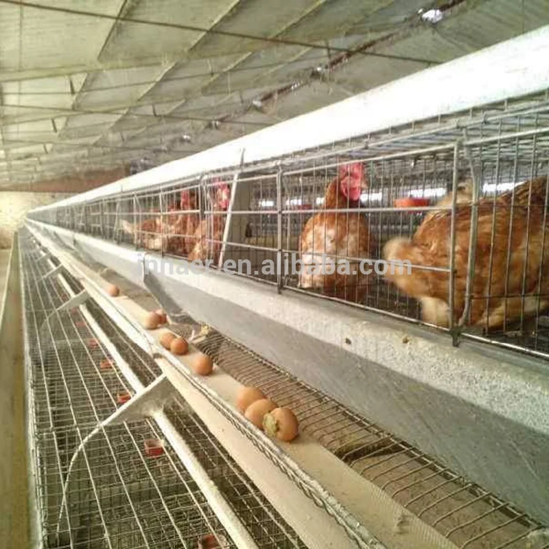 best selling second hand layer poultry cages