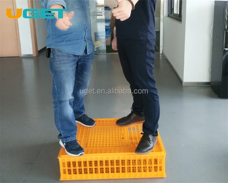 
Customized Recyclable Stackable Plastic Transport Poultry Crate for Chicken Duck Goose Dove 