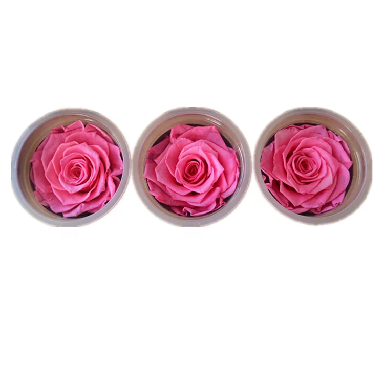 wholesale yunnan kainaking freeze dried big size preserved roses Customized rose head