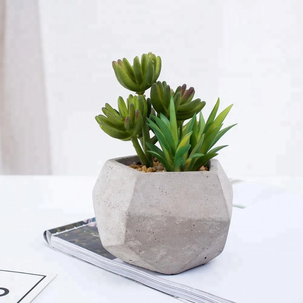 Wholesale succulent factory direct artificial succulent in bare cement flowerpot for decoration