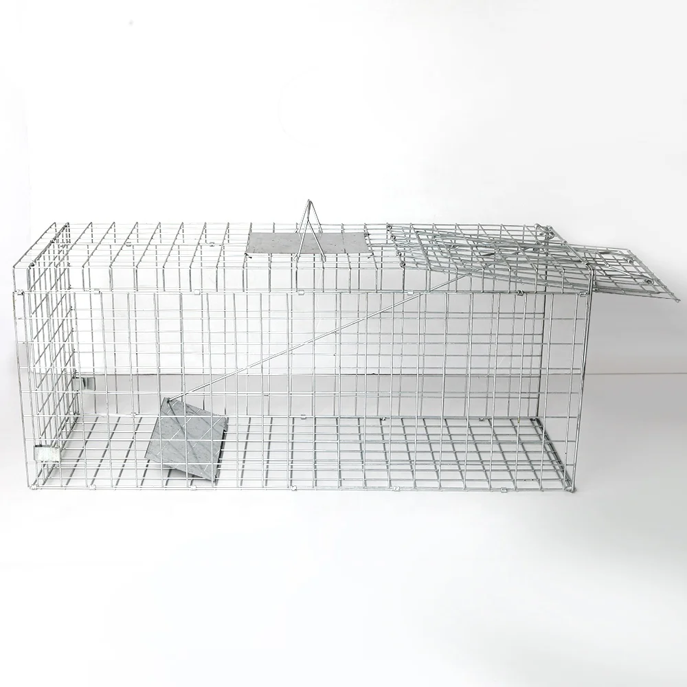 galvanized mesh Live Animal Trap/humane animal trap