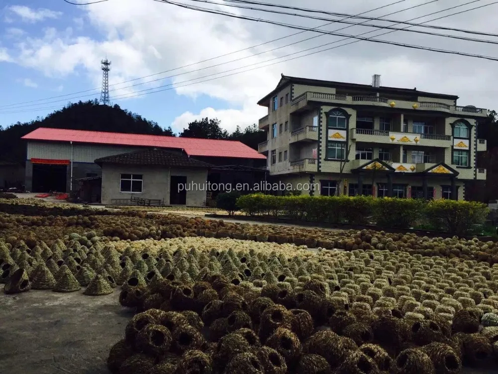 Insect hotel with bark/ Hive bee boxes