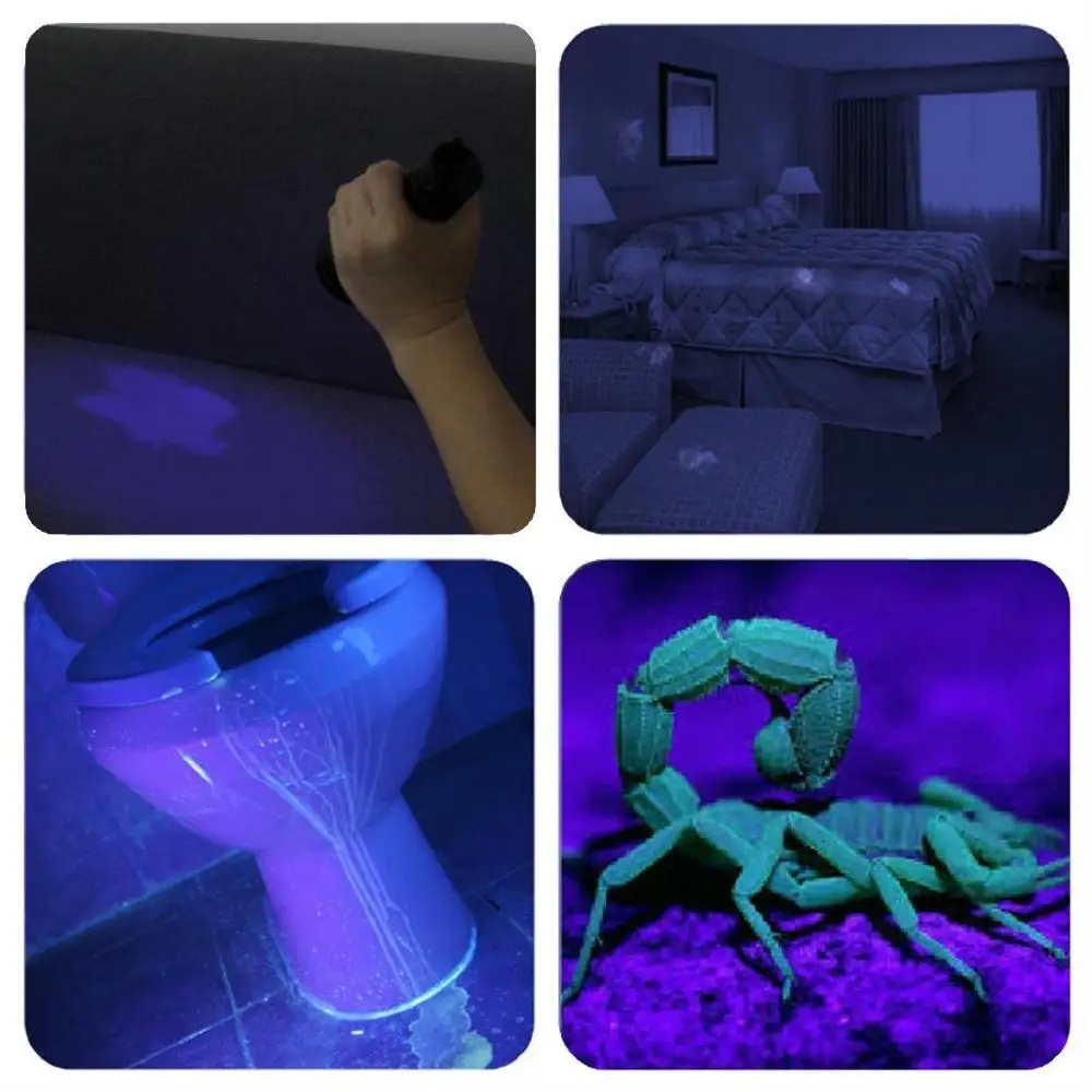 UV 51 LED Ultraviolet Blacklight Pet Urine Detector UV Flash Light