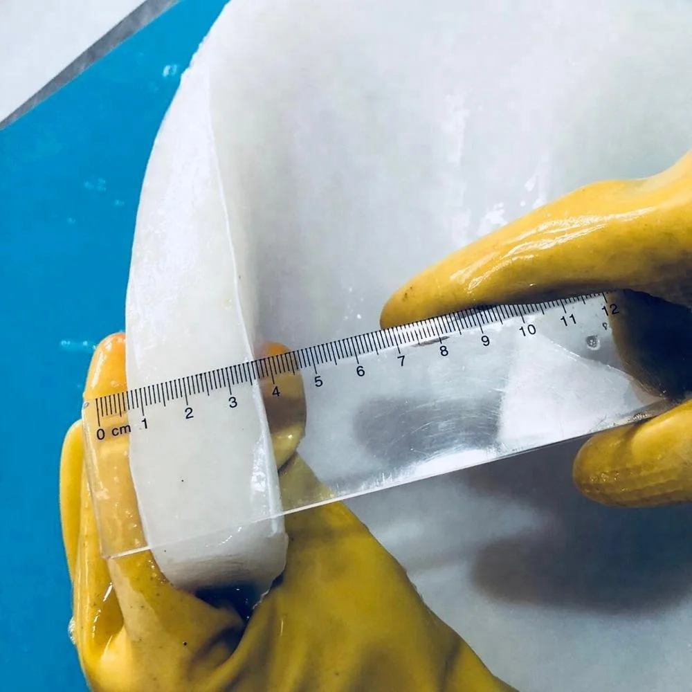 Frozen Giant Squid Boiled Fillets