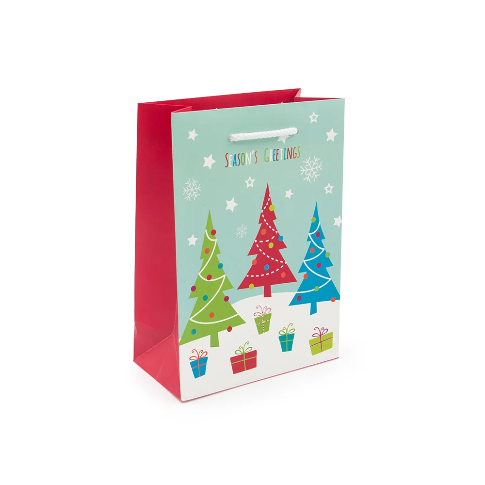
Hot Sale Christmas Gift Packaging Eco Paper Bag 