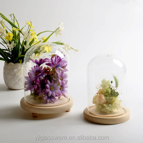 hot selling wholesale price available different sizes glass dome cloche with wood base
