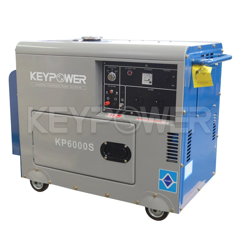 Professional User-Design Flexible 6kw Insulating Paint Hotel Gasoline Generator Parts