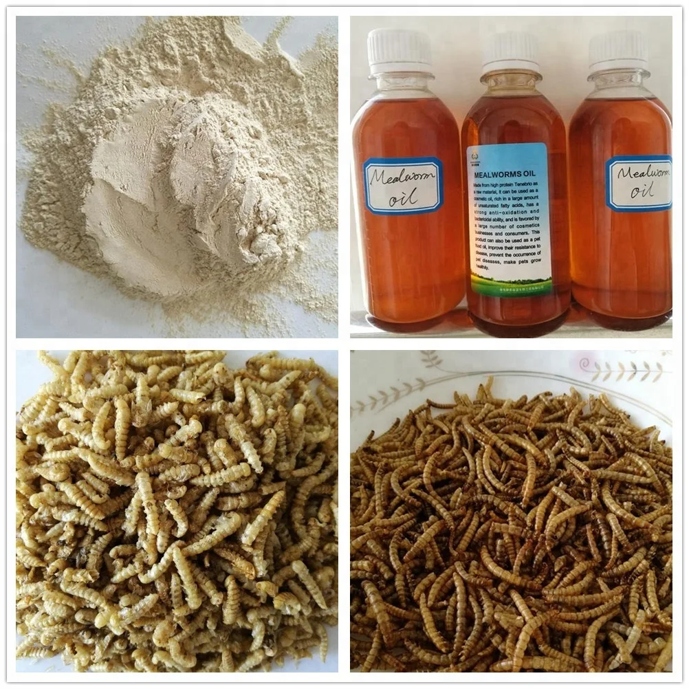 Ostrich Food Dried Yellow Mealworm Pupa Pet Feed Ddditive