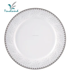 Antique ceramic dinner plate sets dinnerware porcelain tray custom plate dish