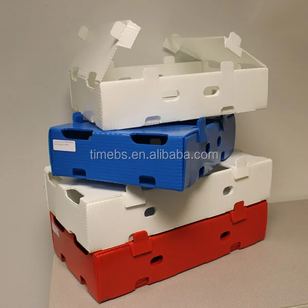Corrugated plastic storage box for vegetable and fruit