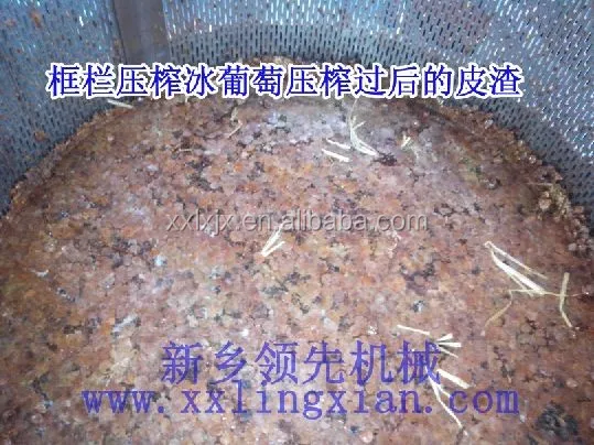 Передовые технологии verticle гидравлические виноградный пресс-машина/виноградное вино соковыжималка