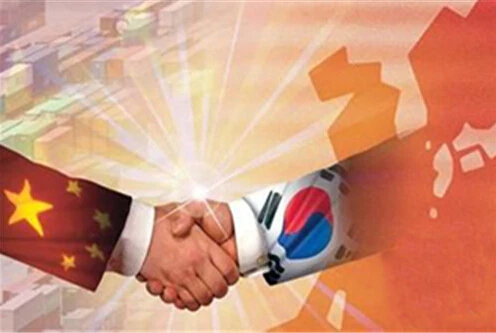 sea freight forwarder shipping ddu ddp service China freight forwarding agent to Korea sea freight low price service quality