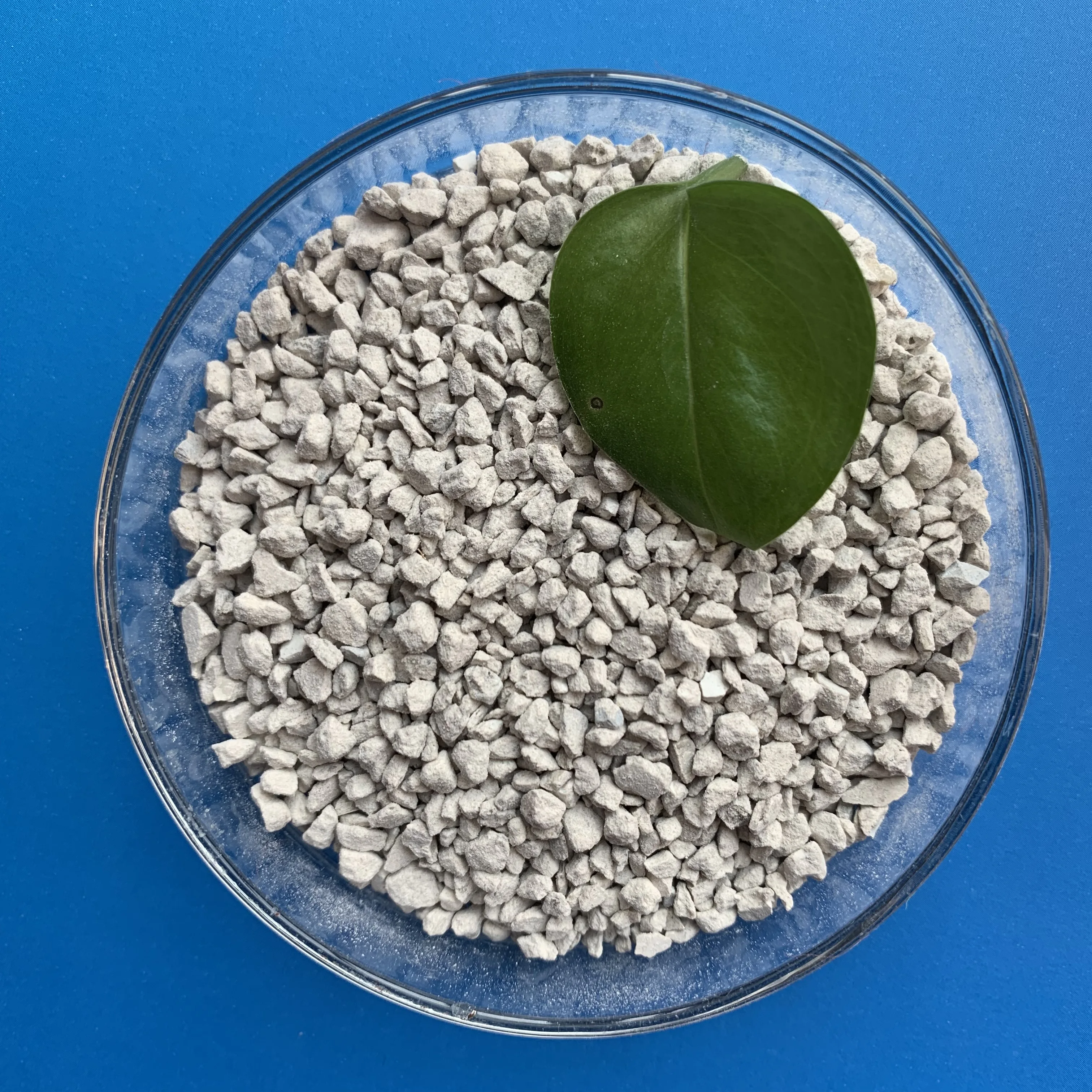 
2019 HOT ! SGS Certified Feed Grade Factory Price DCP P18 MCP P22 